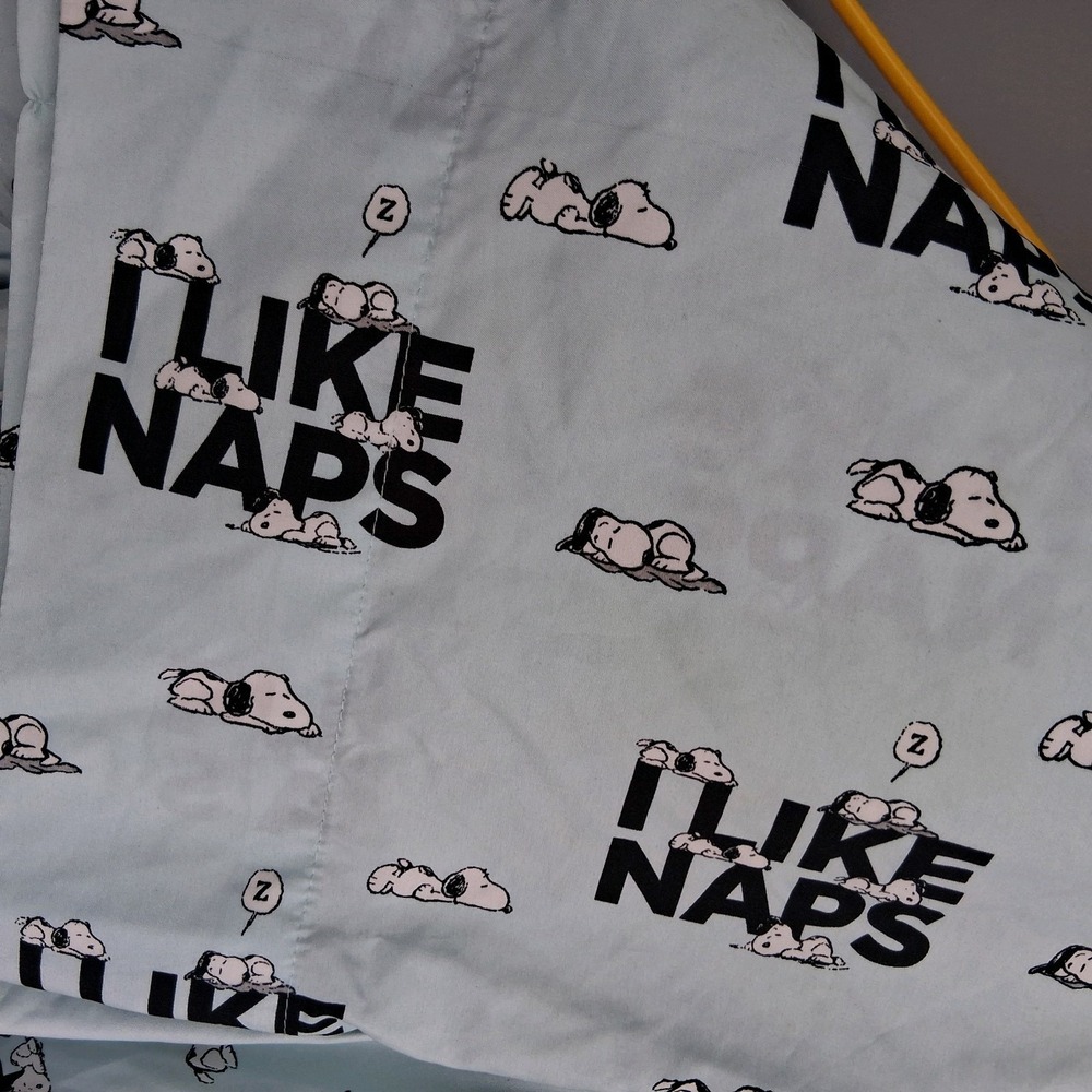 4pc Berkshire Peanuts Snoopy Aqua Blue Full Sheet Set I LIKE NAPS AOP GUC